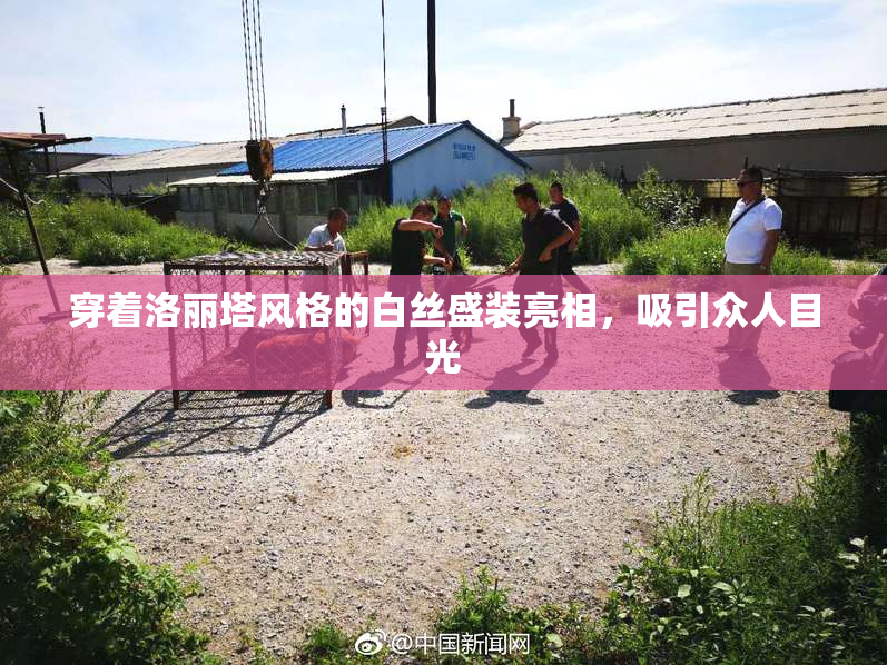 穿着洛丽塔风格的白丝盛装亮相，吸引众人目光