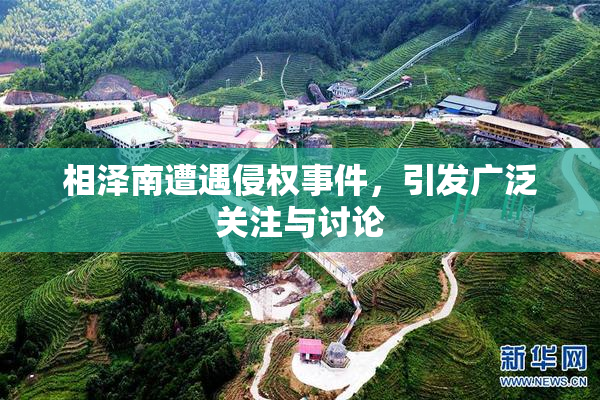 相泽南遭遇侵权事件，引发广泛关注与讨论