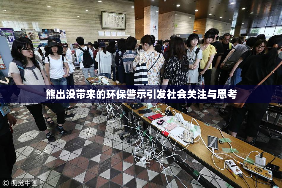 熊出没带来的环保警示引发社会关注与思考