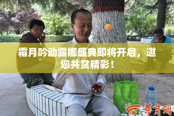 霜月吟动露娜盛典即将开启，邀您共赏精彩！