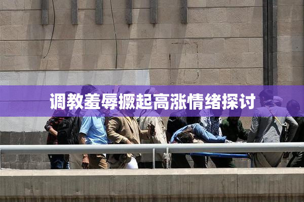 调教羞辱撅起高涨情绪探讨