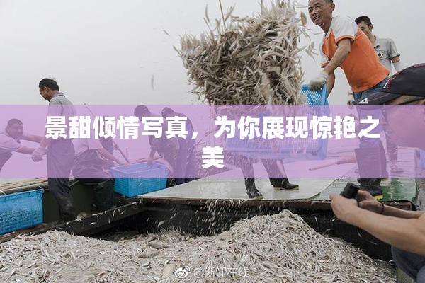 景甜倾情写真，为你展现惊艳之美