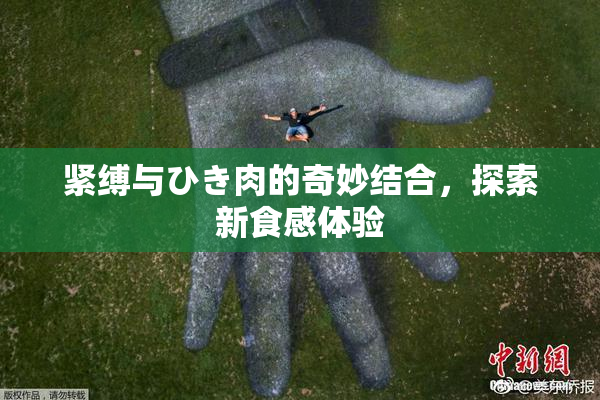 紧缚与ひき肉的奇妙结合，探索新食感体验