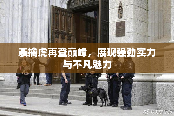 裴擒虎再登巅峰，展现强劲实力与不凡魅力
