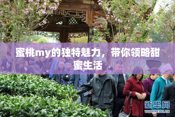 蜜桃my的独特魅力，带你领略甜蜜生活