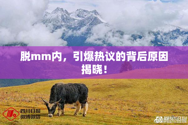 脱mm内，引爆热议的背后原因揭晓！