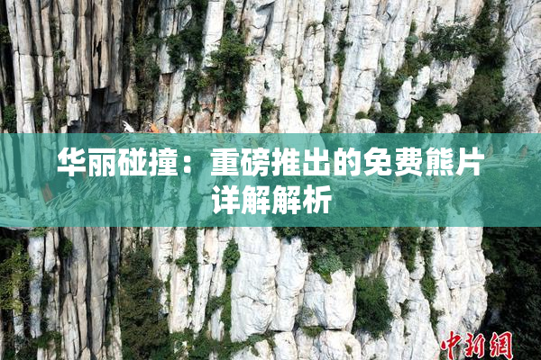 华丽碰撞：重磅推出的免费熊片详解解析