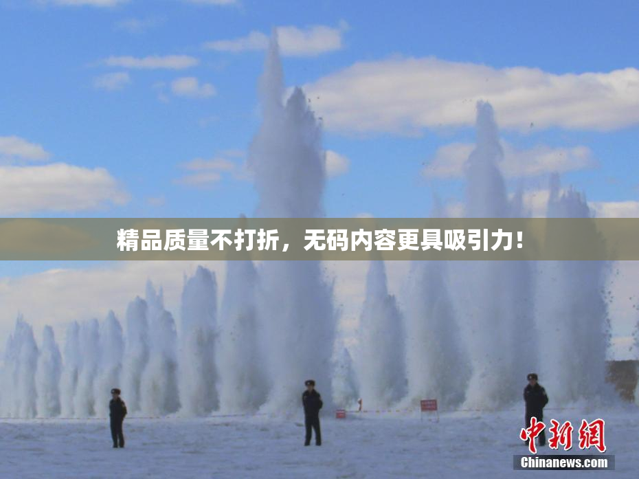 精品质量不打折，无码内容更具吸引力！