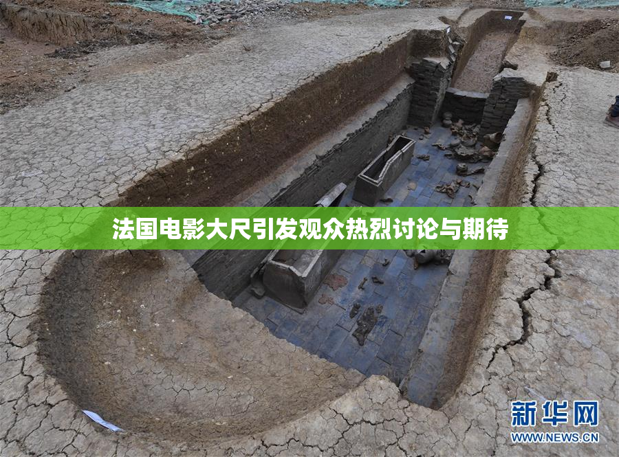 法国电影大尺引发观众热烈讨论与期待