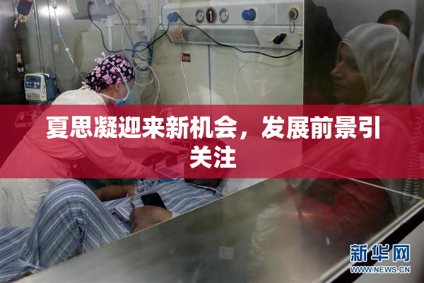 夏思凝迎来新机会，发展前景引关注