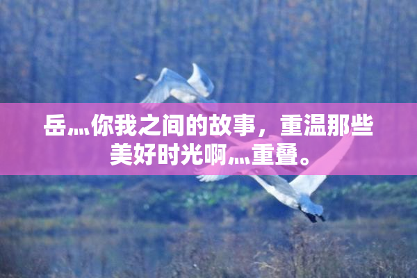 岳灬你我之间的故事，重温那些美好时光啊灬重叠。