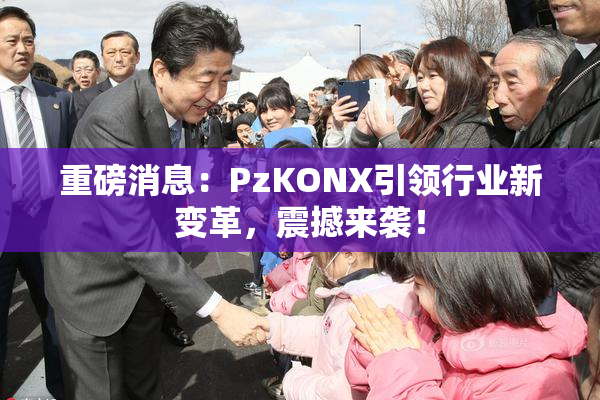 重磅消息：PzKONX引领行业新变革，震撼来袭！