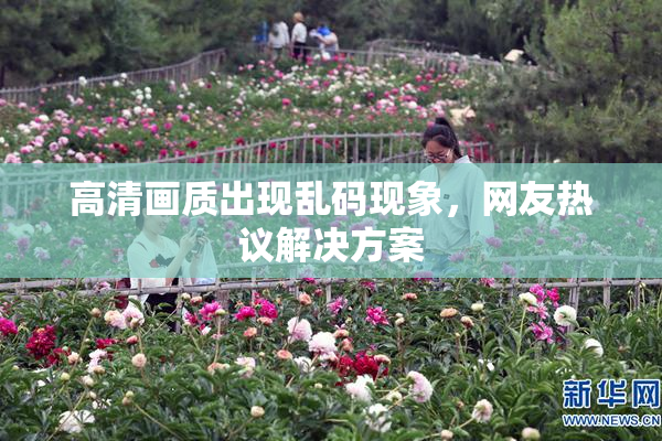 高清画质出现乱码现象，网友热议解决方案