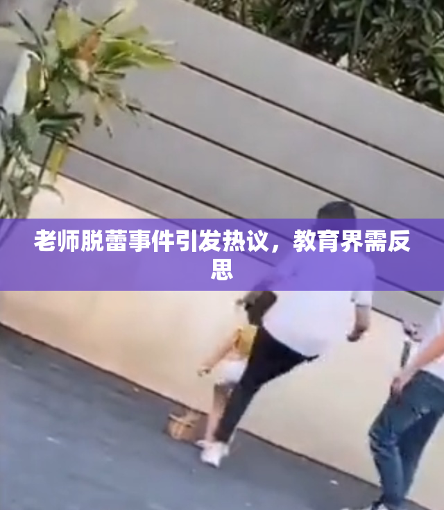 老师脱蕾事件引发热议，教育界需反思