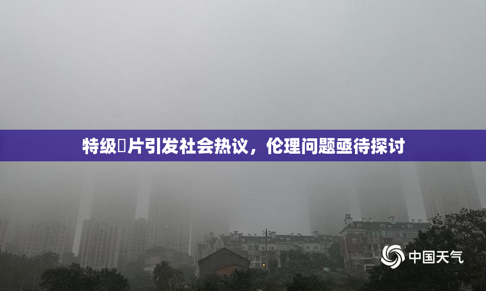 特级婬片引发社会热议，伦理问题亟待探讨