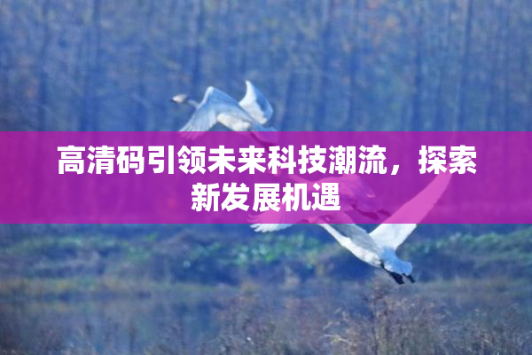 高清码引领未来科技潮流，探索新发展机遇