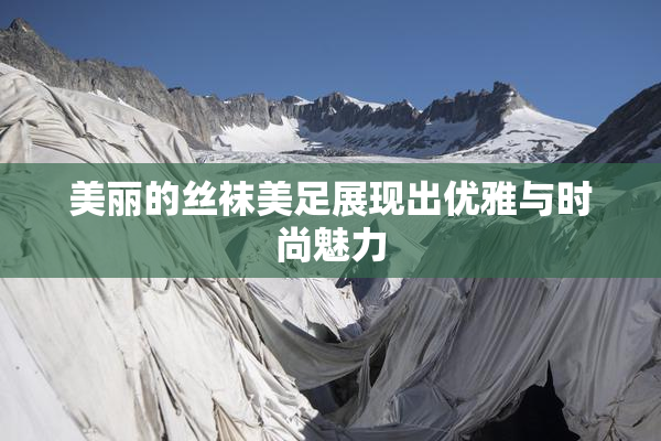 美丽的丝袜美足展现出优雅与时尚魅力