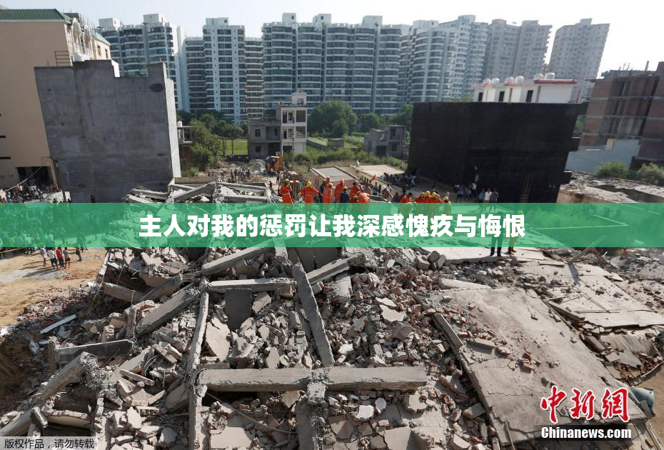主人对我的惩罚让我深感愧疚与悔恨