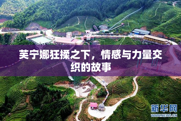 芙宁娜狂揉之下，情感与力量交织的故事