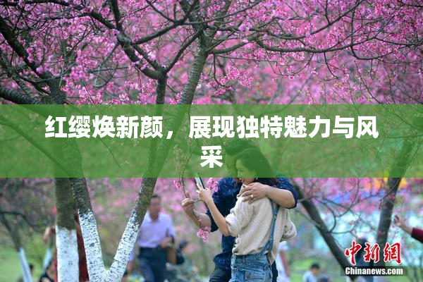 红缨焕新颜，展现独特魅力与风采