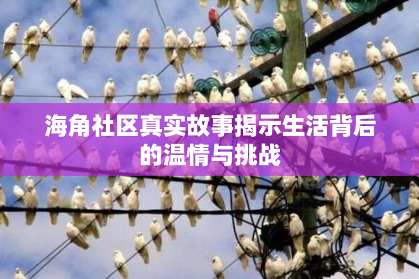 海角社区真实故事揭示生活背后的温情与挑战