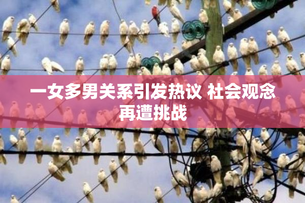 一女多男关系引发热议 社会观念再遭挑战