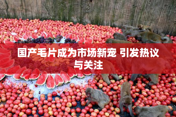 国产毛片成为市场新宠 引发热议与关注