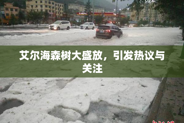 艾尔海森树大盛放，引发热议与关注
