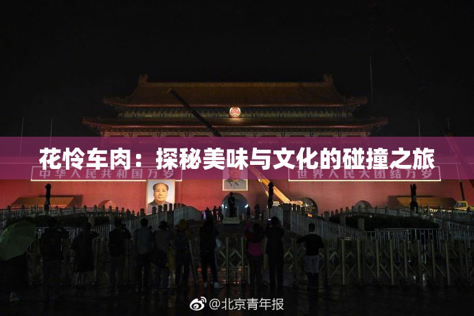 花怜车肉：探秘美味与文化的碰撞之旅