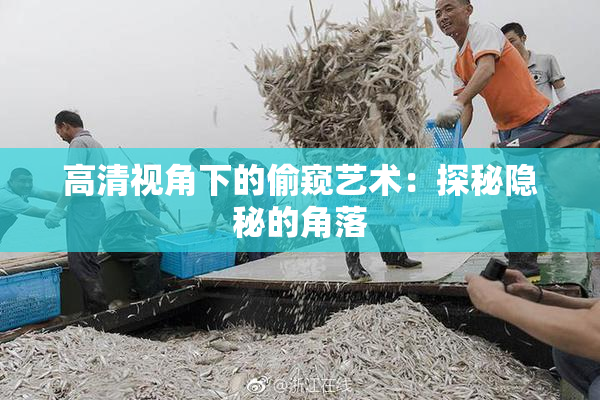 高清视角下的偷窥艺术：探秘隐秘的角落