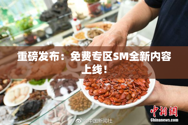 重磅发布：免费专区SM全新内容上线！
