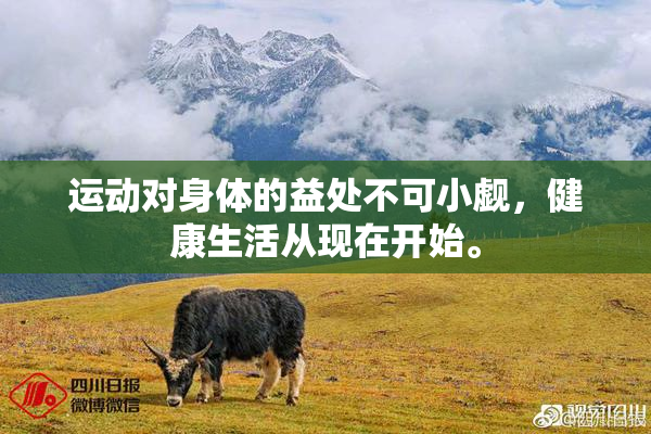 运动对身体的益处不可小觑，健康生活从现在开始。