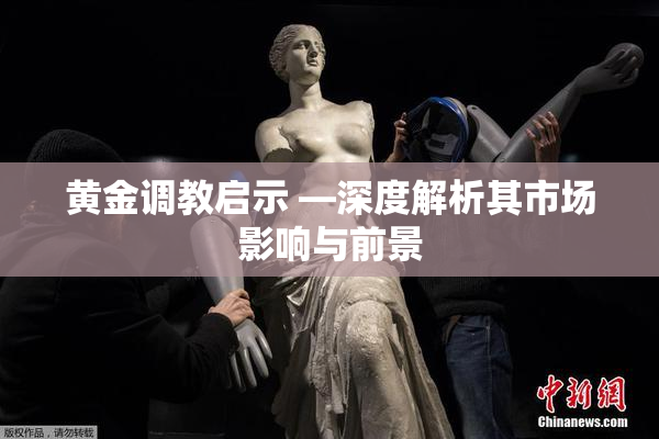 黄金调教启示 —深度解析其市场影响与前景