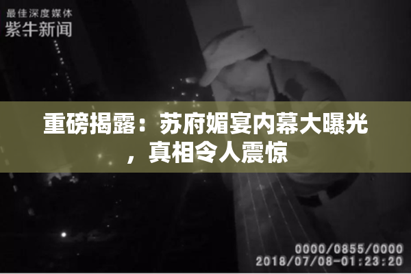 重磅揭露：苏府媚宴内幕大曝光，真相令人震惊