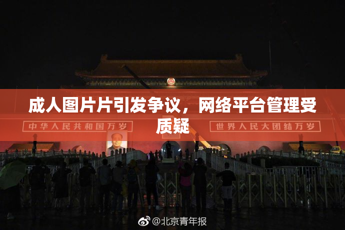 成人图片片引发争议，网络平台管理受质疑