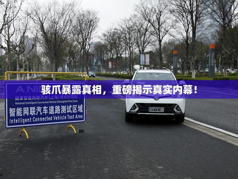 骇爪暴露真相，重磅揭示真实内幕！