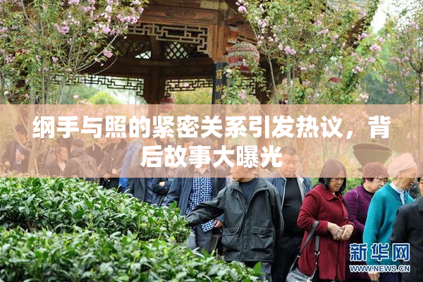 纲手与照的紧密关系引发热议，背后故事大曝光