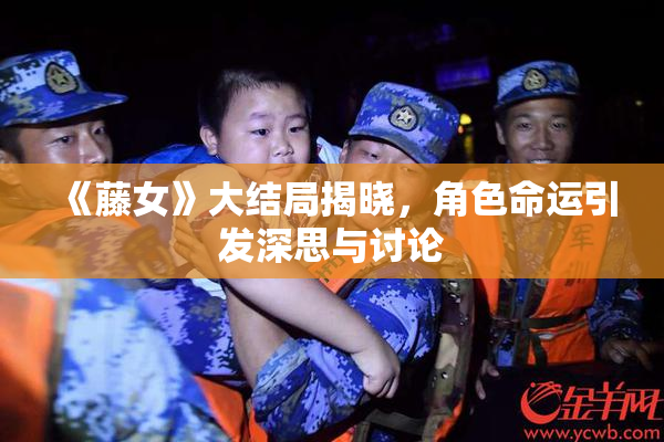《藤女》大结局揭晓，角色命运引发深思与讨论