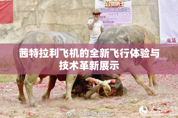 茜特拉利飞机的全新飞行体验与技术革新展示
