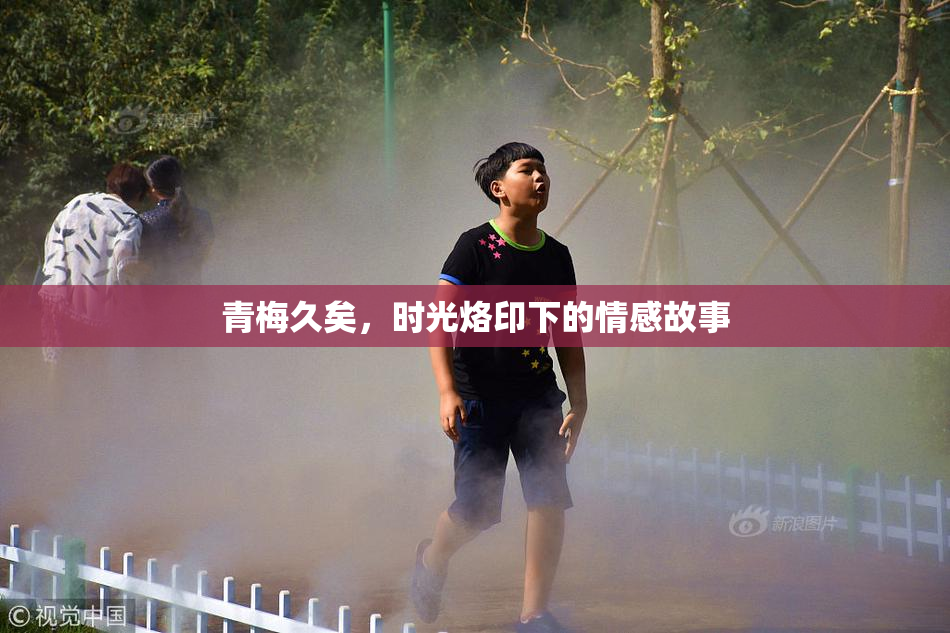 青梅久矣，时光烙印下的情感故事