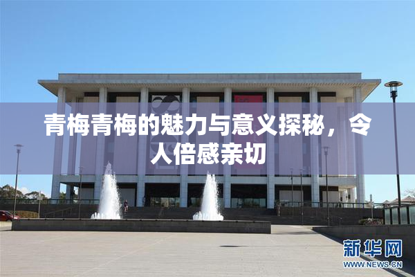 青梅青梅的魅力与意义探秘，令人倍感亲切