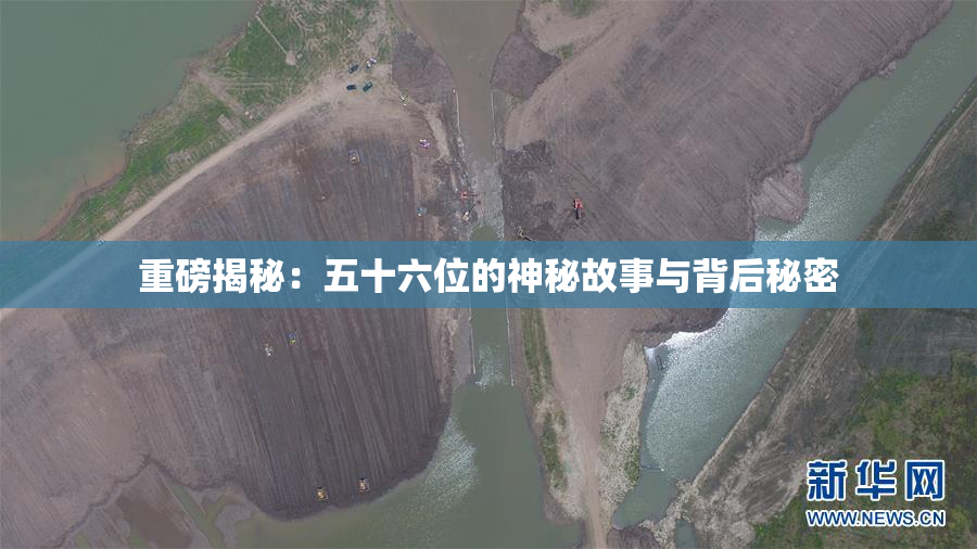 重磅揭秘：五十六位的神秘故事与背后秘密