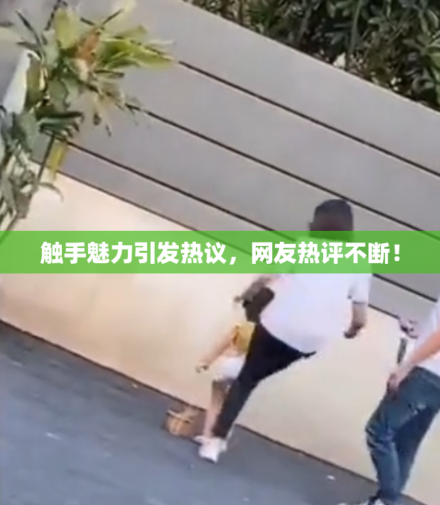 触手魅力引发热议，网友热评不断！