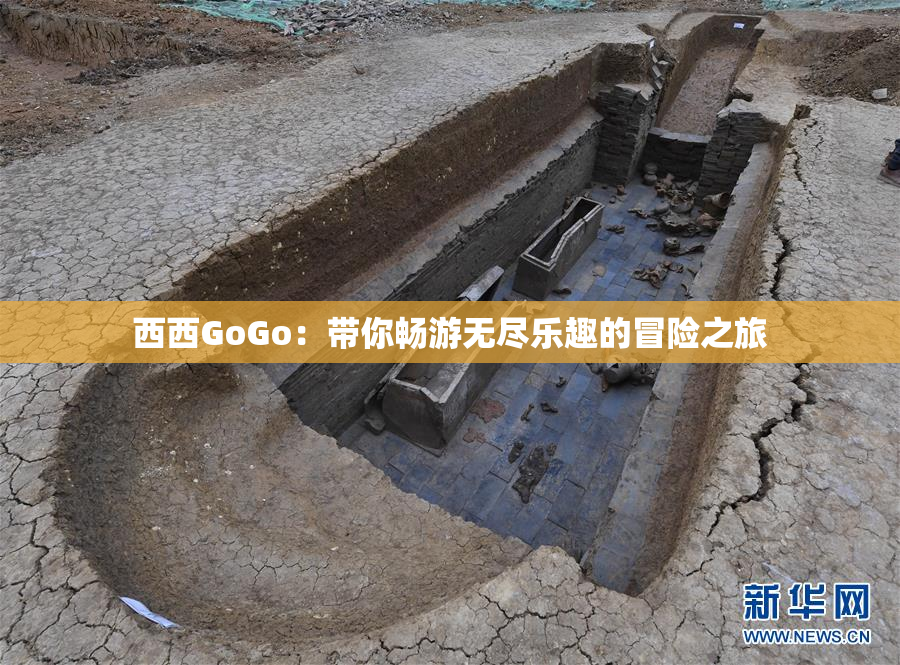 西西GoGo：带你畅游无尽乐趣的冒险之旅