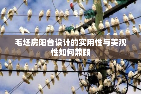 毛坯房阳台设计的实用性与美观性如何兼顾