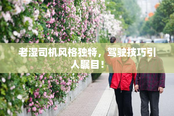 老湿司机风格独特，驾驶技巧引人瞩目！