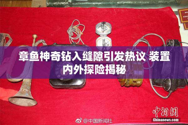章鱼神奇钻入缝隙引发热议 装置内外探险揭秘