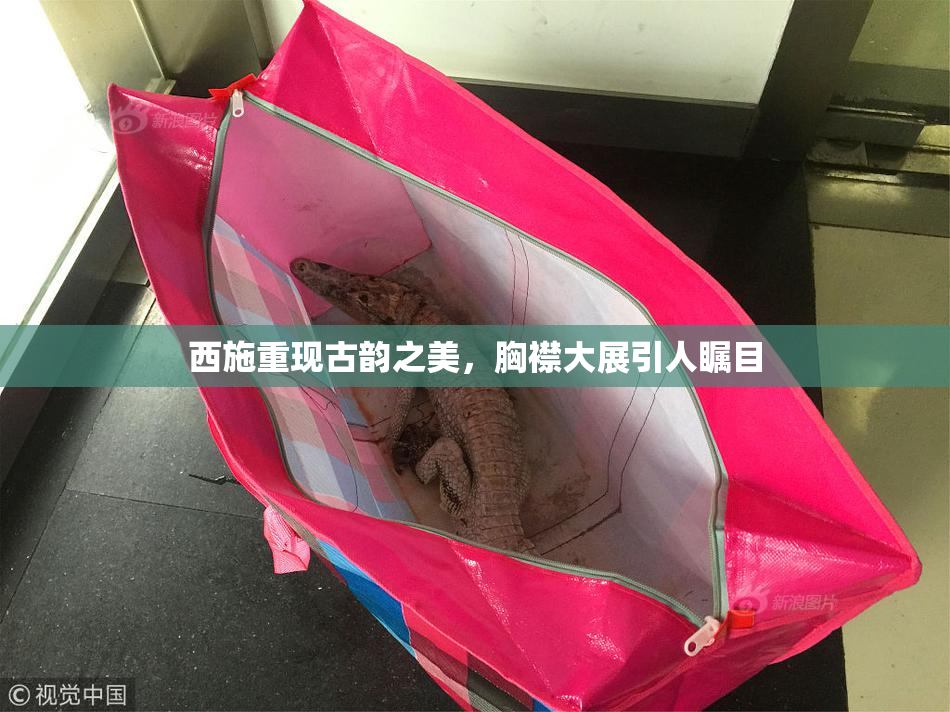 西施重现古韵之美，胸襟大展引人瞩目