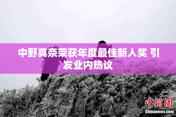 中野真奈荣获年度最佳新人奖 引发业内热议