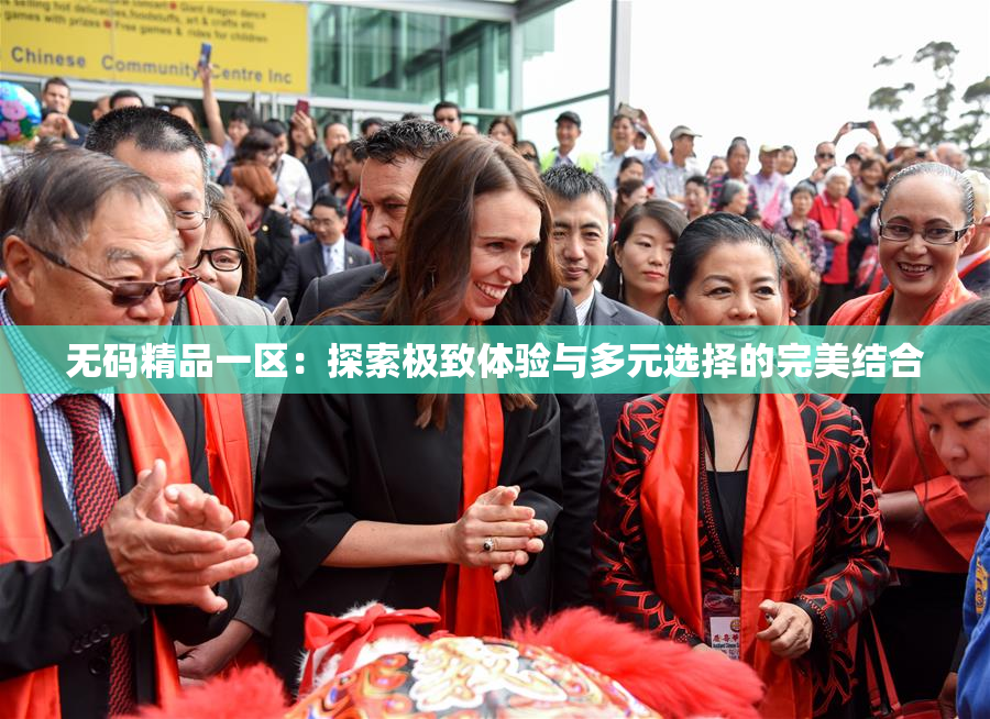 无码精品一区：探索极致体验与多元选择的完美结合